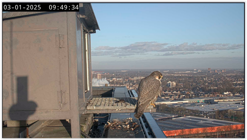 Screen Shot 01-03-25 at 09.50 AM