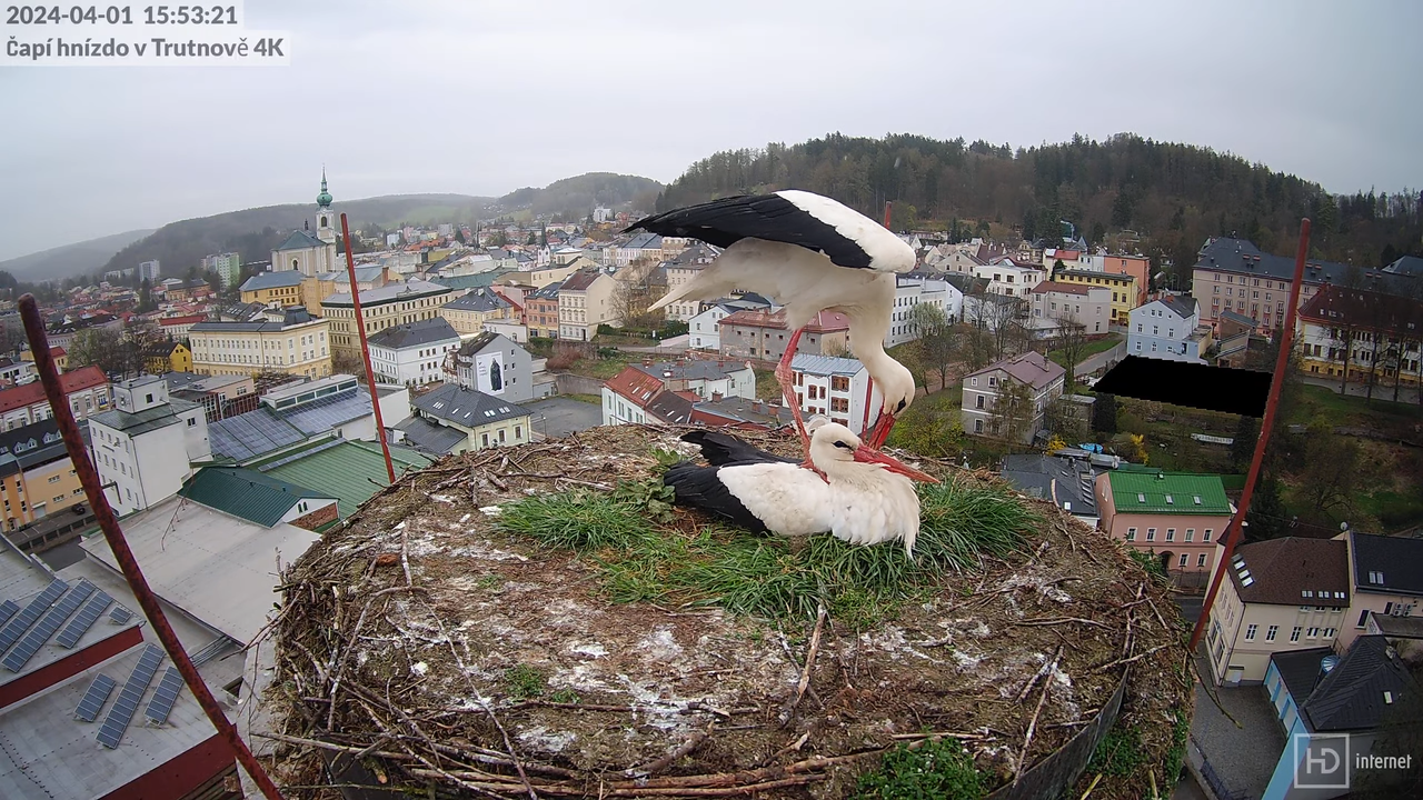 Tiešraidē no stārķa ligzdas uz alus darītavas skursteņa Trutnovā 15-57-9 screenshot