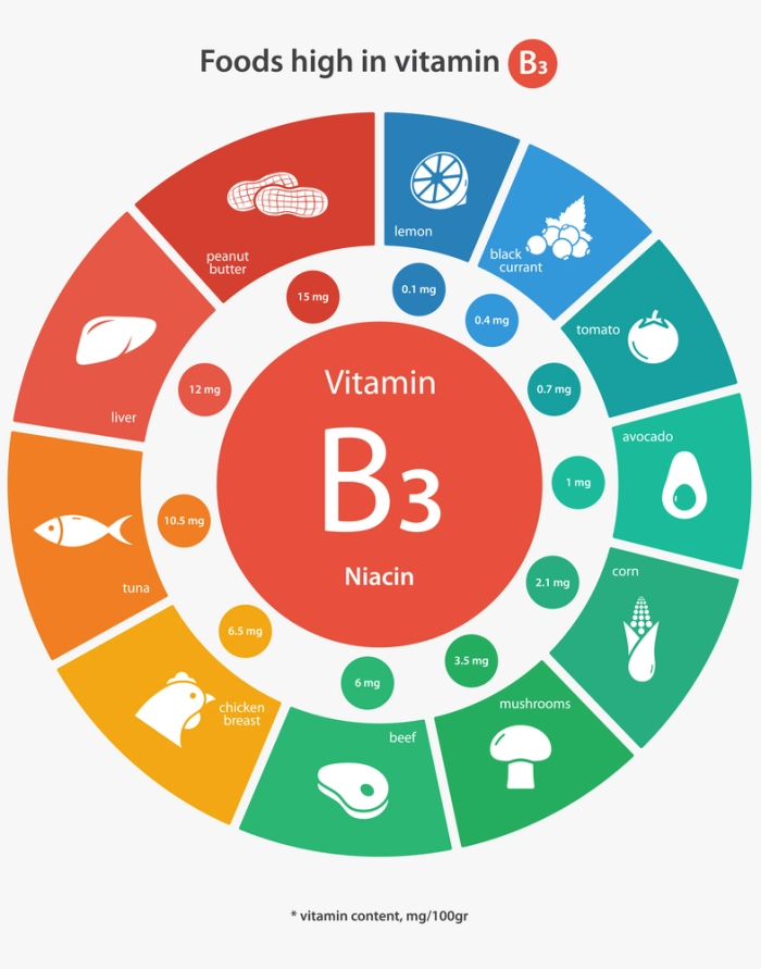 Food rich in vitamin B3 - Infographic