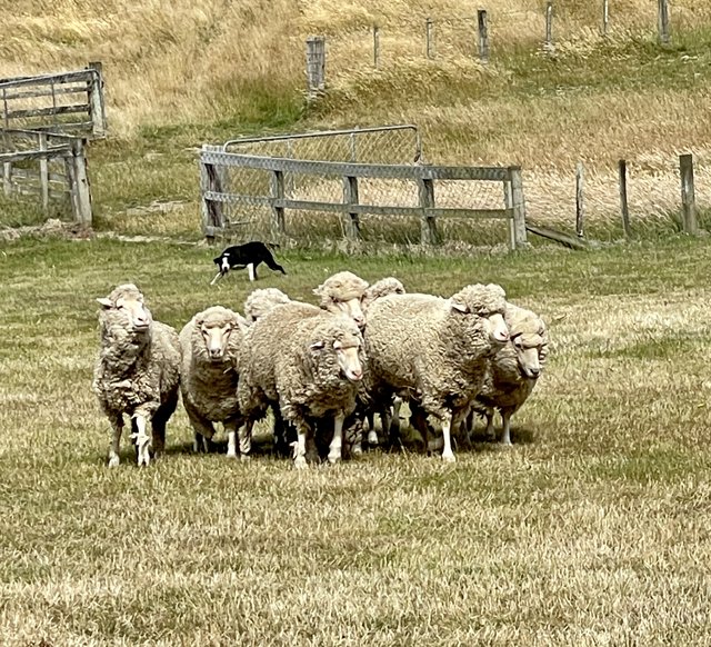 [Linked Image from i.postimg.cc]