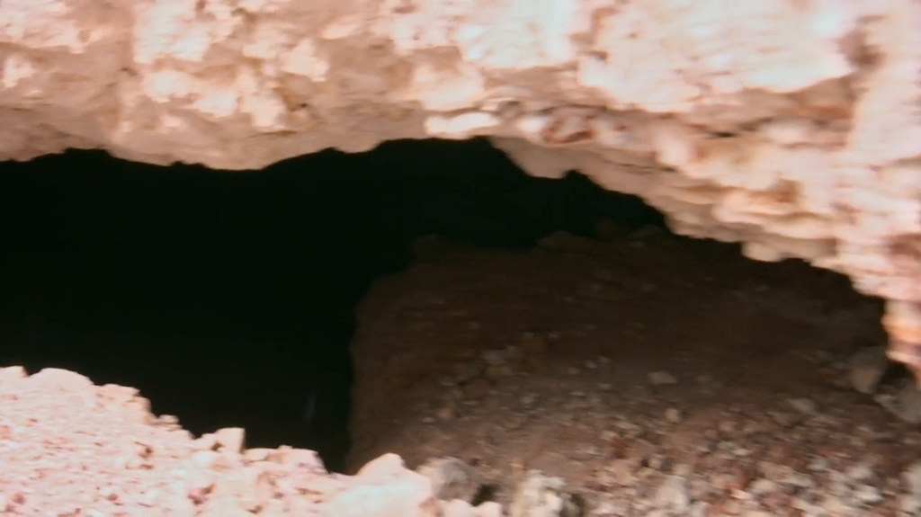 [Image: ixeq00r4ou4o.png]