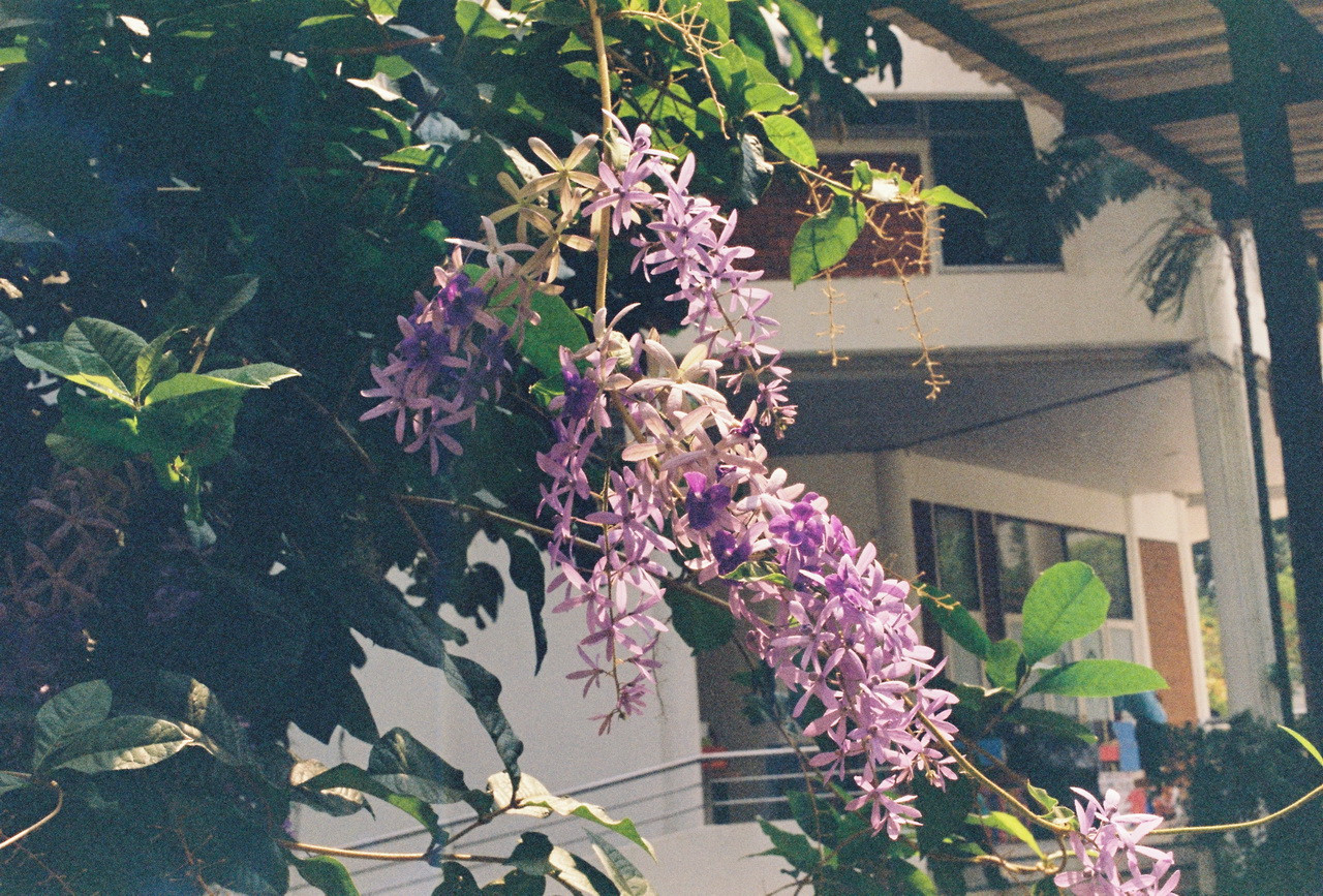 Vision3-250D-Spot-40