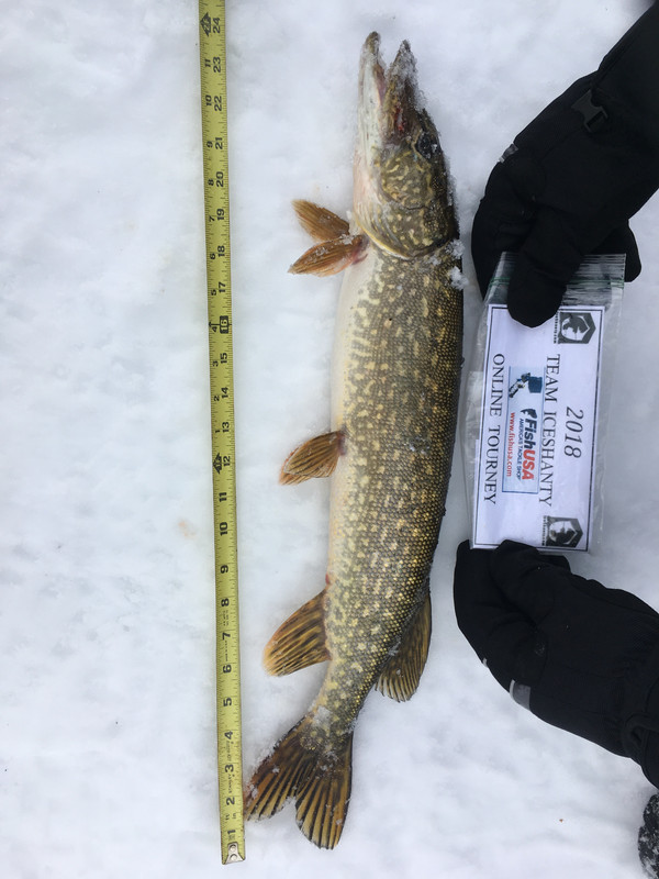 1E08AC29-9E1F-498E-9318-8CF5B5A5EB9E