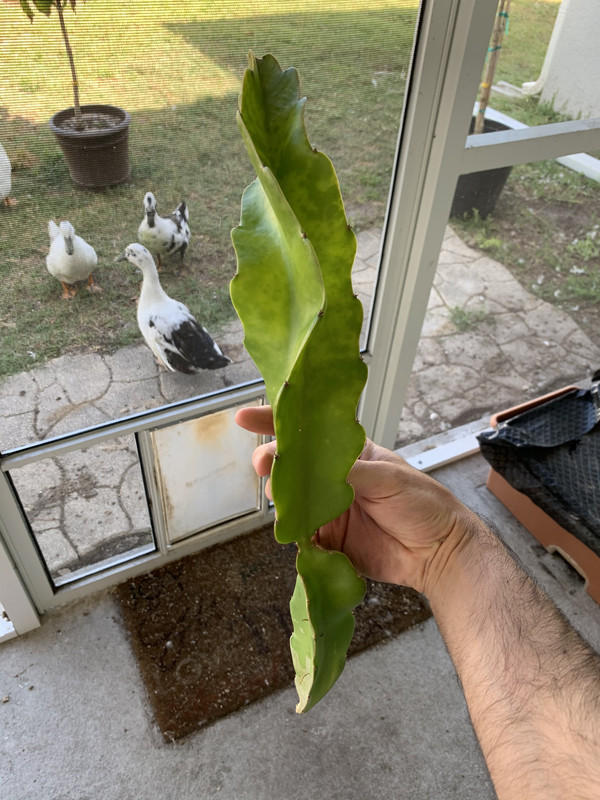 202B5DA6-747B-417A-AE14-CEC30480CD57