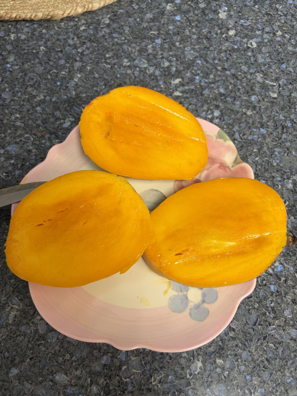 Dot mango2