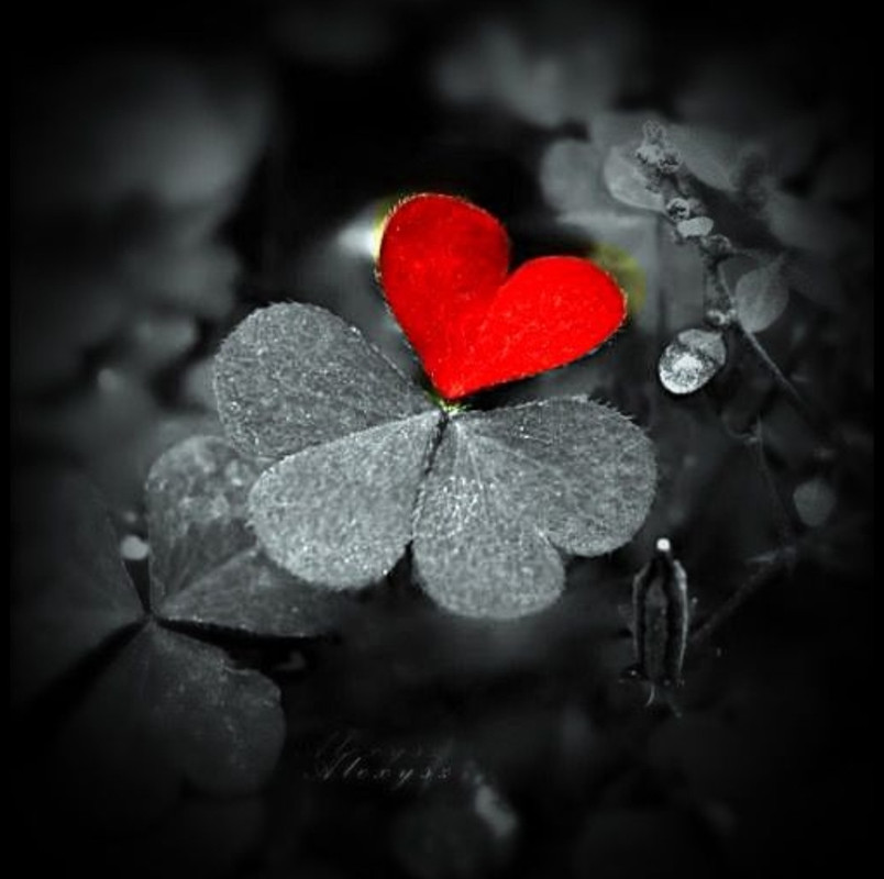 Screenshot_20251004_184843_Pinterest