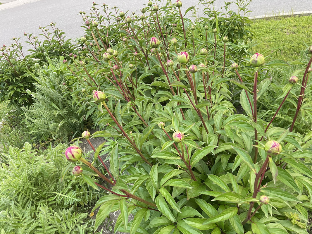 8819F462-FF4B-40AA-854E-4129C5C3150F