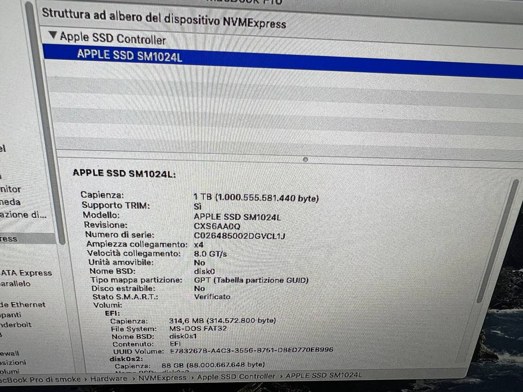 photo_2024-01-21_09-19-19