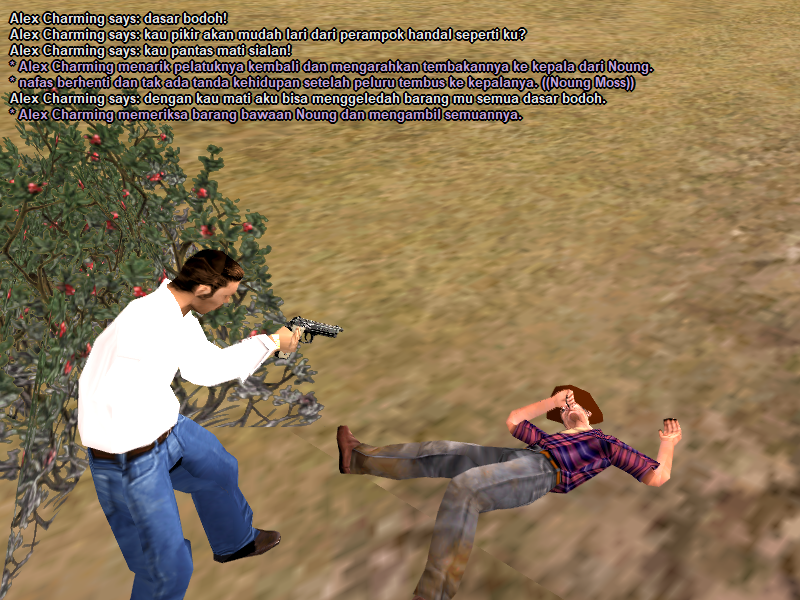 ss-11.png