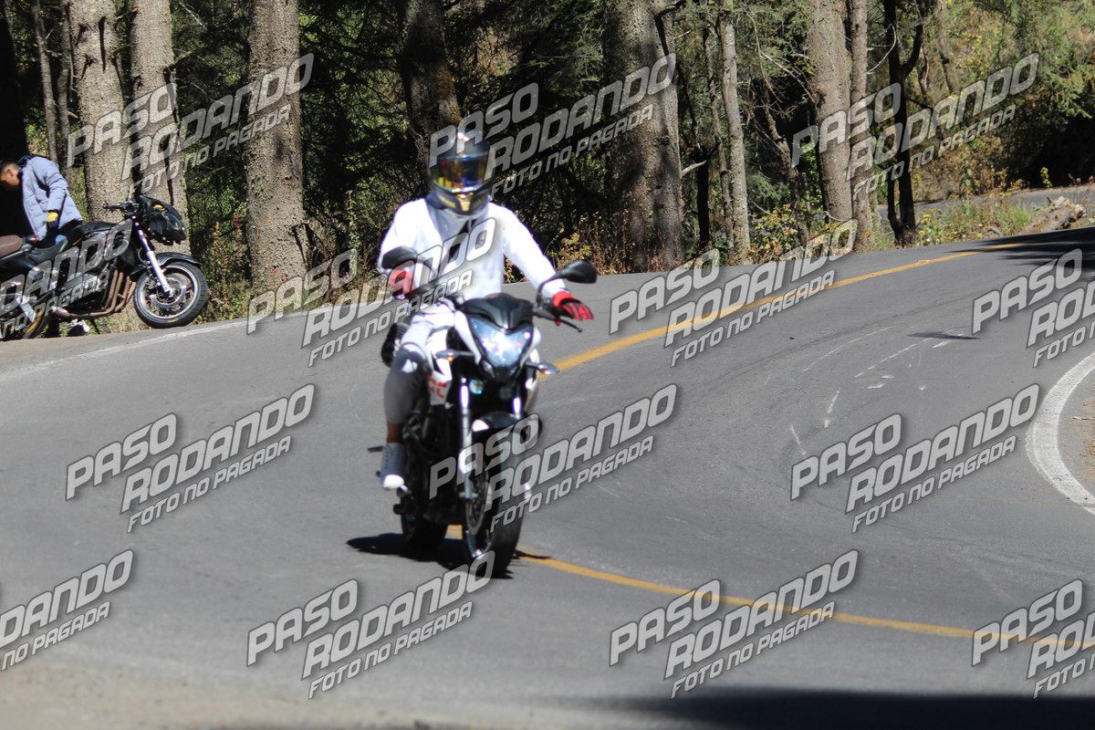IMG 5724 wm 7546881 3 watermarked — Postimages