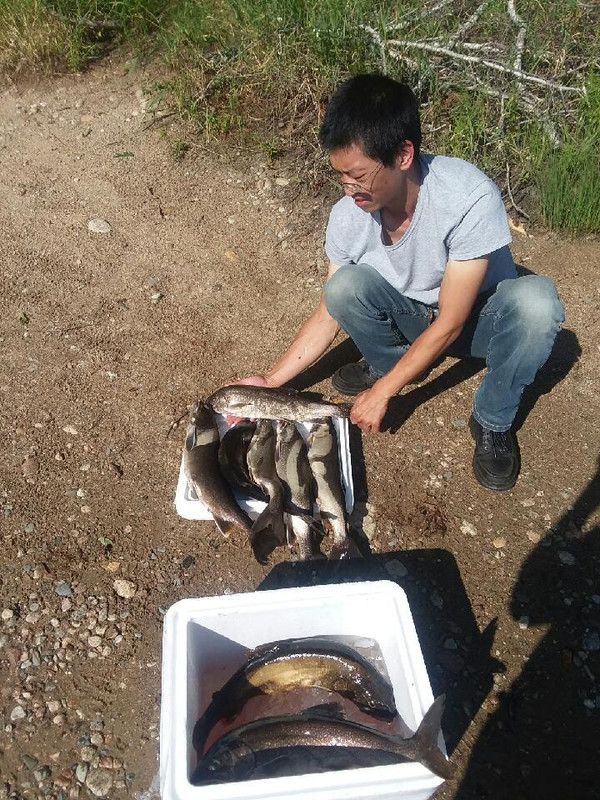 D6B15F07-E87E-44E3-BB89-547966DD4AEE