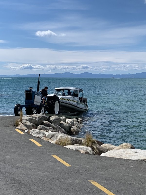 Abel Tasman-Motueka - Nueva Zelanda: La primavera Kiwi nos fue marcando la ruta (1)