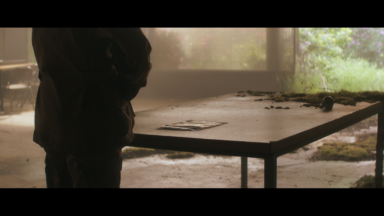 vlcsnap-2023-10-11-14h55m04s309