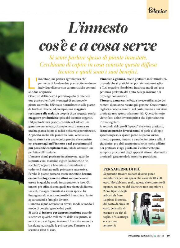 Pass Giar e Orto Apr 2026 (12)