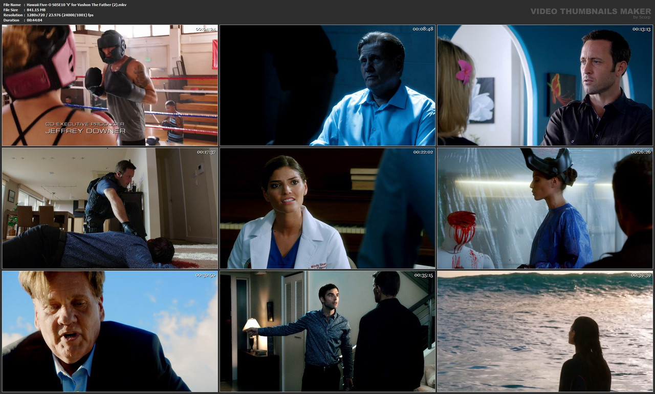 Hawaii Five-O S05E10 'V' for Vashon The Father (2).mkv