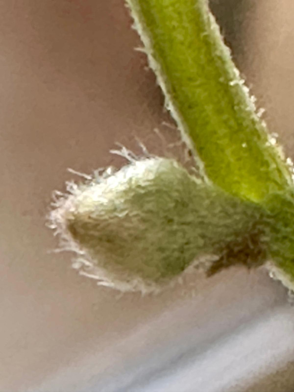 Obrázek WhatsApp, 2025-03-10 v 08.04.35_d6b88ebf