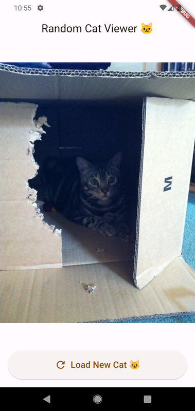 Screenshot 1767174954