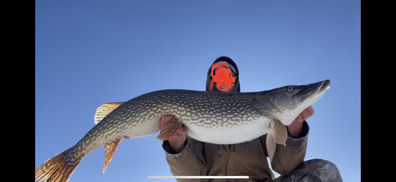 79F07301-E7E9-45FF-B608-14EBAA4F632F