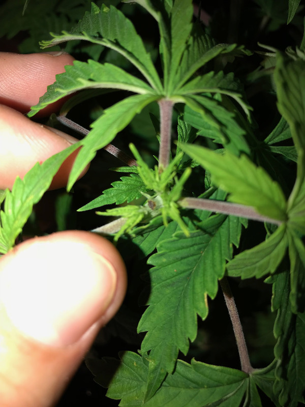 AC259649-E235-4F90-9D2B-F501874CD9D0