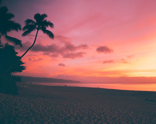 Ko Olina Senior Portrait Sessions