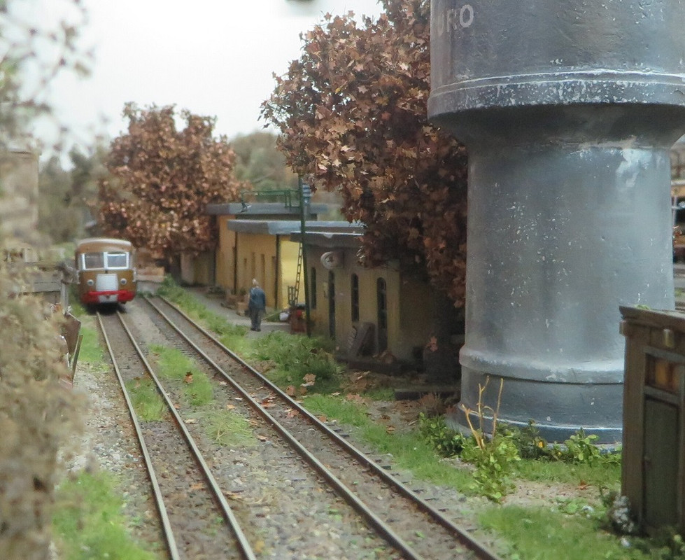 Alberi Boscoscuro giugno 2023 (24)