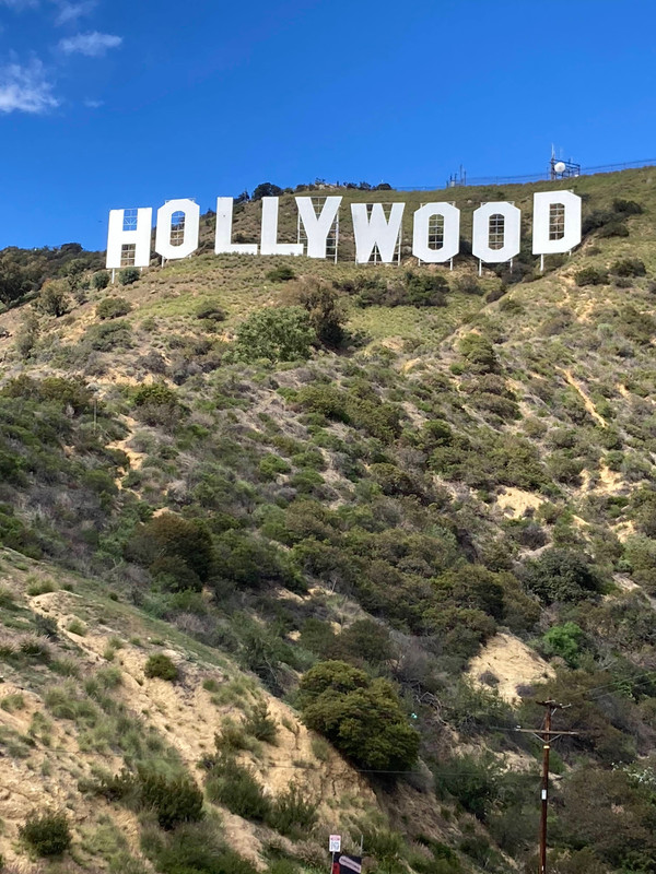 10-B8789-E-2-B1-D-49-F2-8-B75-1519-F8438