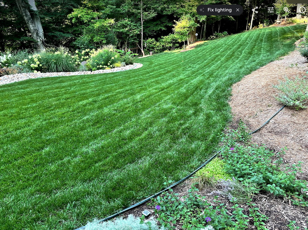 Screen Shot 2021-07-27 at 8.10.59 PM