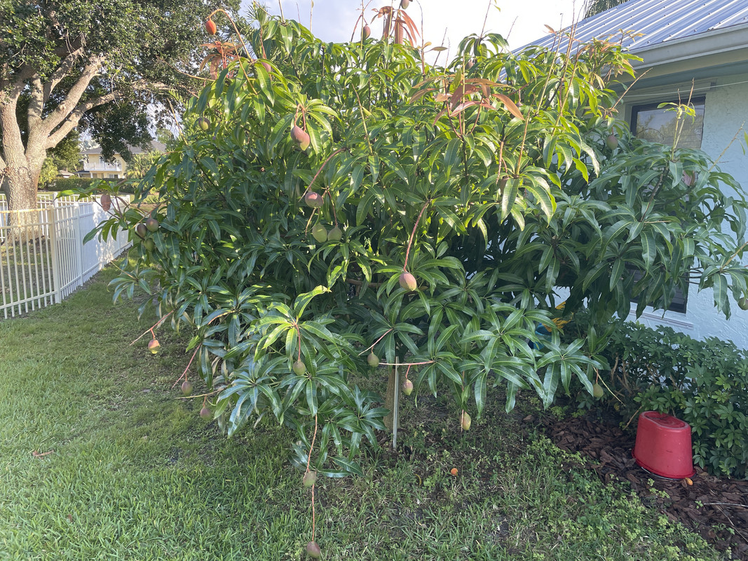 57A5767D-C915-4F6D-99BE-9E7168D5D27D