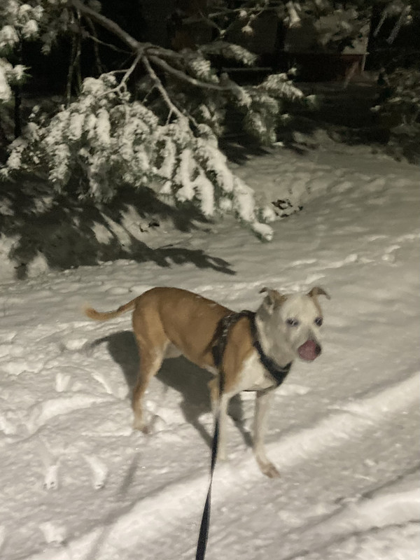 9A210432-2C27-4208-9705-5D12A5563804