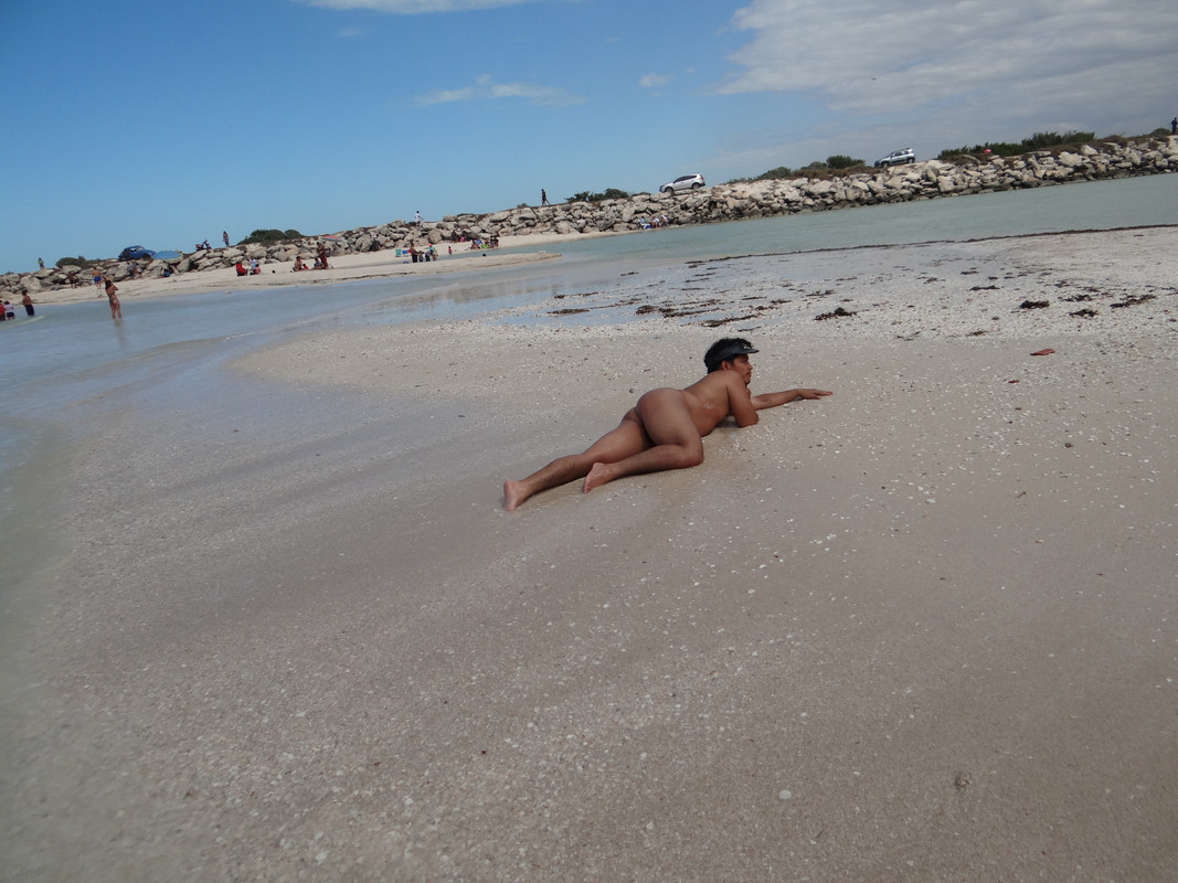 DSC01339