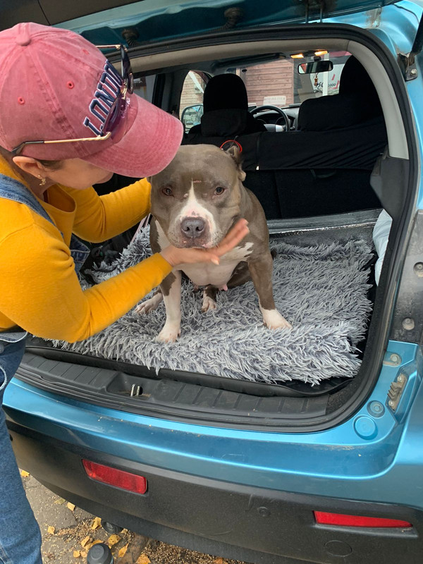 9A2BE3B1-8ECC-49D6-9783-6E55081E0EFB