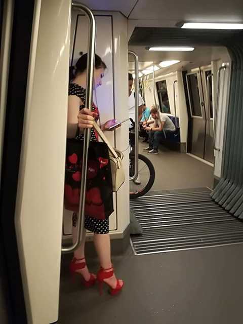 54515248_390546635097775_4866908767750455296_n_390546631764442