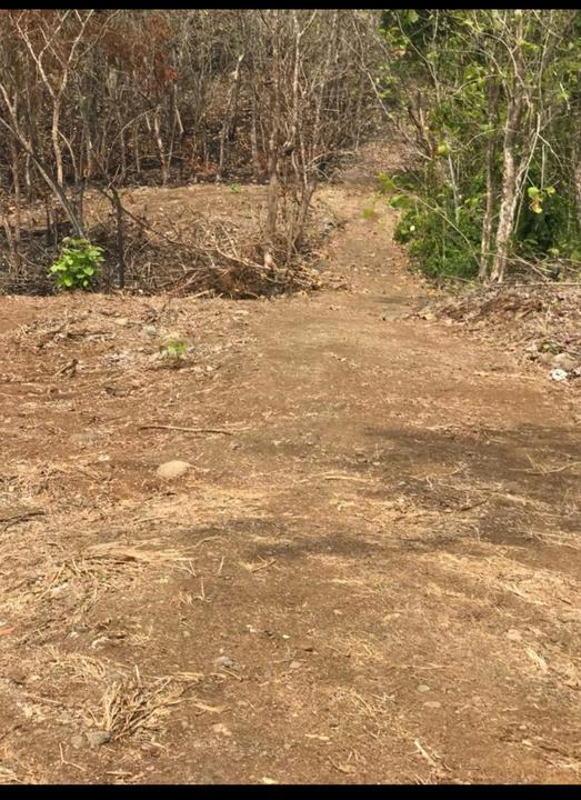 Land in Esterillos Oeste in Puntarenas