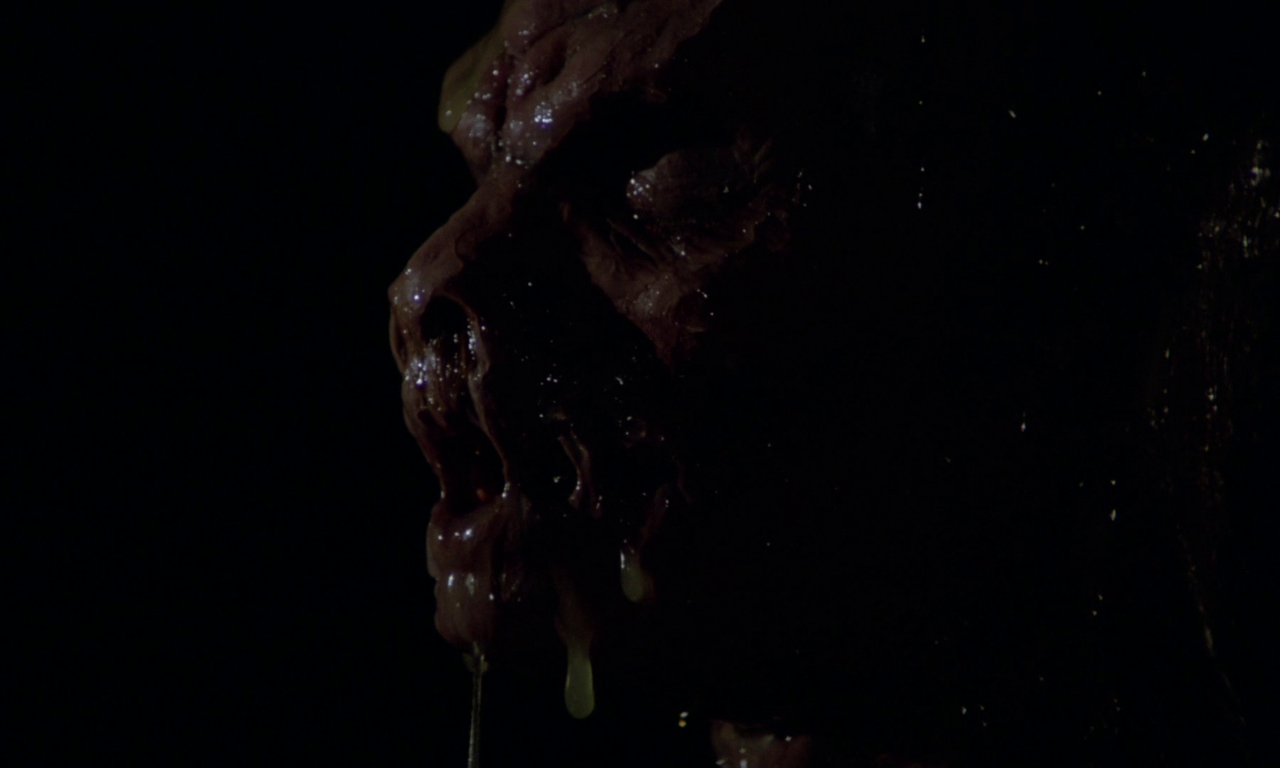 vlcsnap-2024-03-09-10h48m39s268