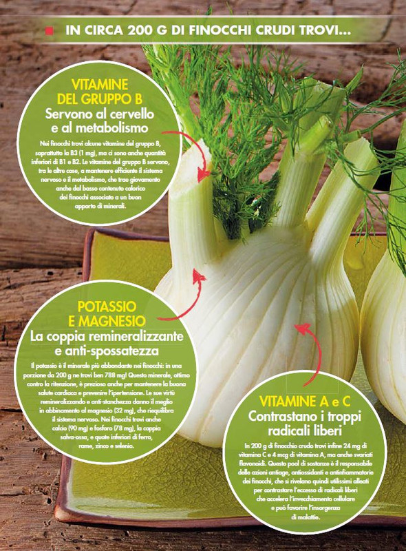 Alim Nat Dic 2021 (8)