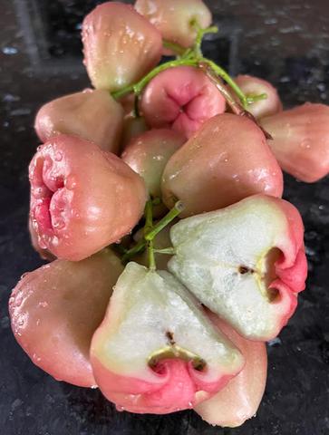 Taiwan Stripped Wax Apple post 3