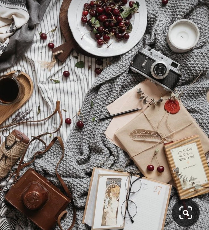 Screenshot_20231122_212908_Pinterest