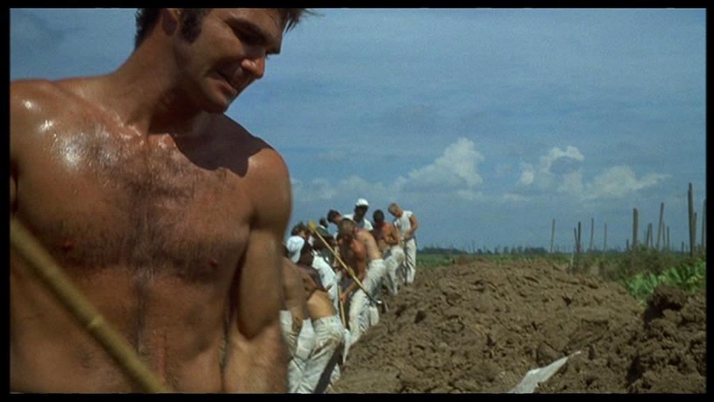 vlcsnap-2018-06-24-05h31m34s501