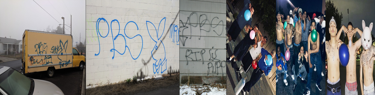 header.png