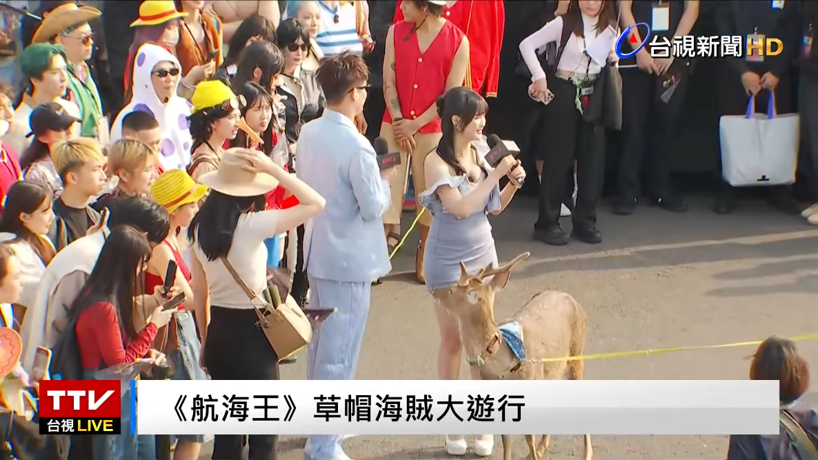 [閒聊] 高雄 海賊大遊行 超大娜美 - 希洽 - PTT.BEST 批踢踢爆文 2