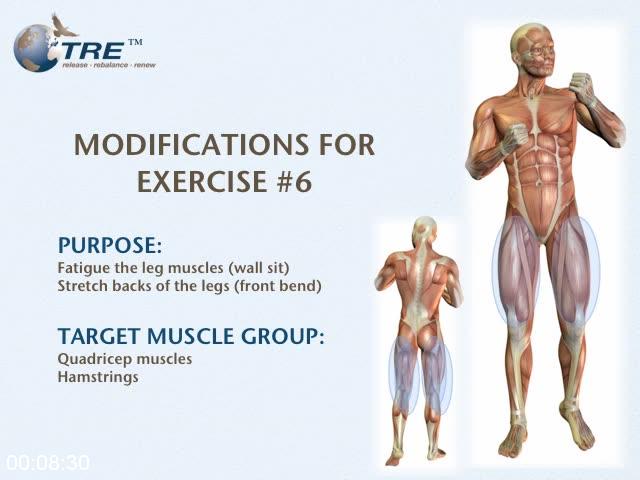 [Image: G-PTre-Modifications-Dvd-By-Jacy-Sundlie...hriver.jpg]