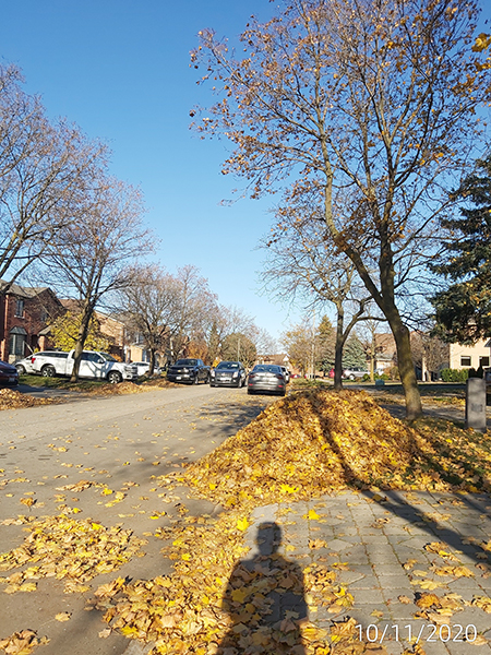 [Image: IMG-20201110-143145.jpg]