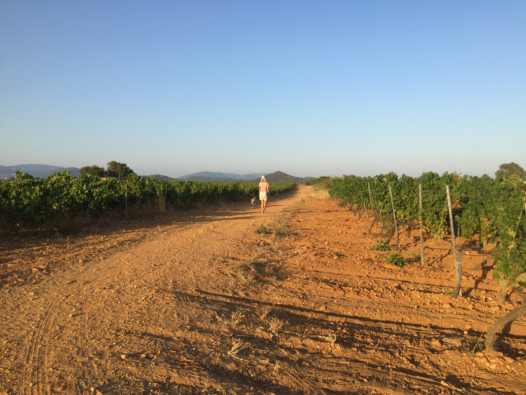 3BC5F514-9F6C-42B9-B34F-56BD920847E5