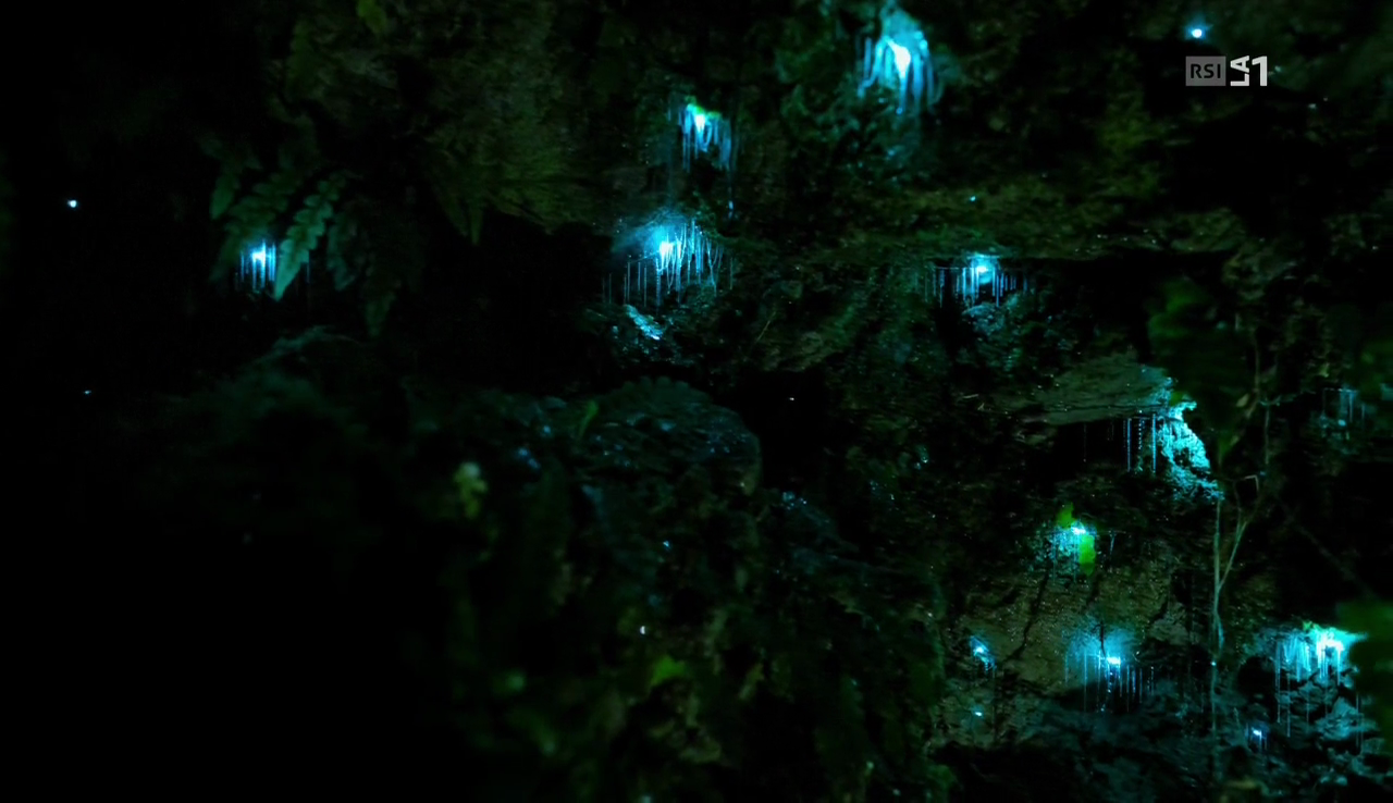 vlcsnap-2017-03-31-22h07m55s374