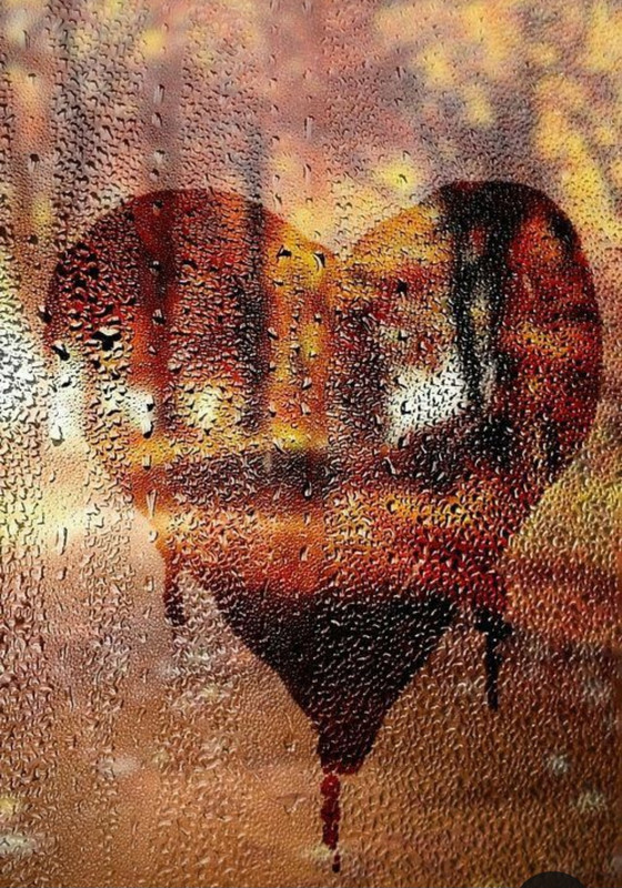 Screenshot_20240210_222218_Pinterest