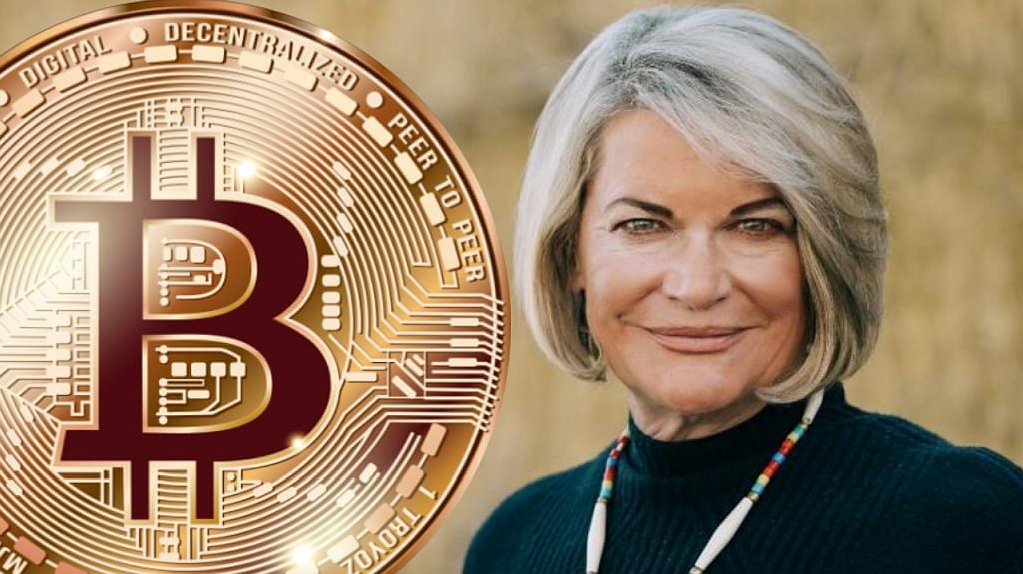 article imageЗаконопроект Синтии Ламмис