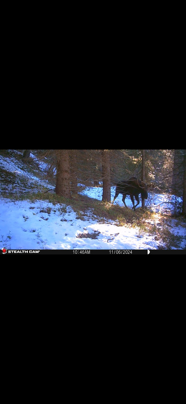 Screenshot_20250615_212930_Gallery