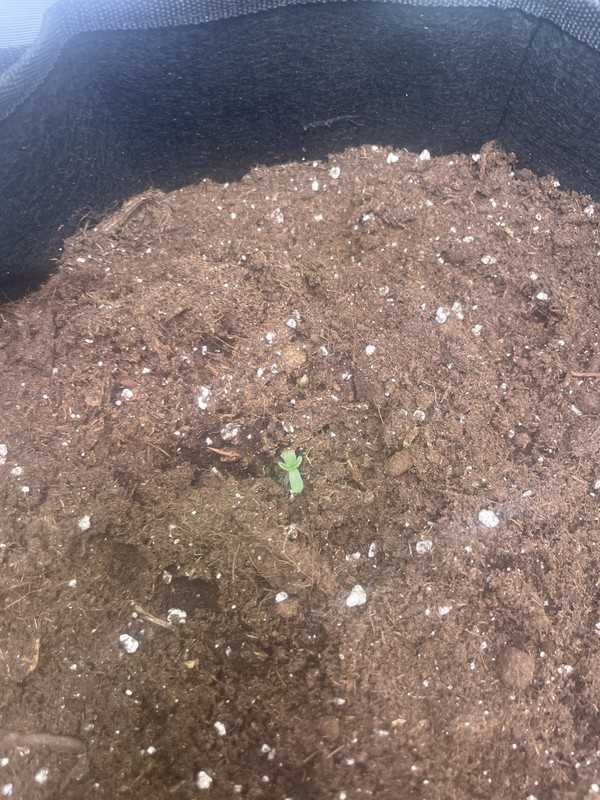 944ADDBF-2C94-4DBE-9742-E4D068D75489