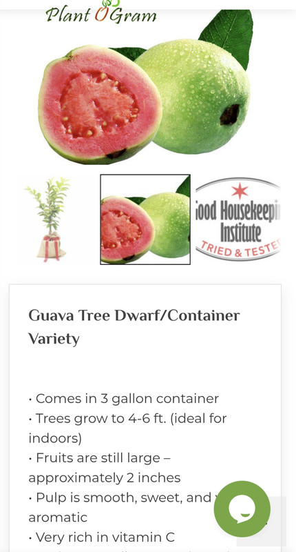 Screenshot_20250902_050328_Chrome