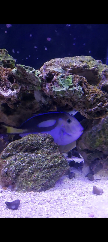 Screenshot_20201206-220513_Video Player